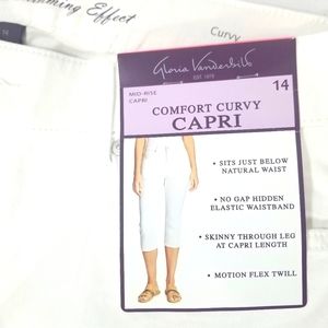 GLORIA VANDERBILT Women Pants